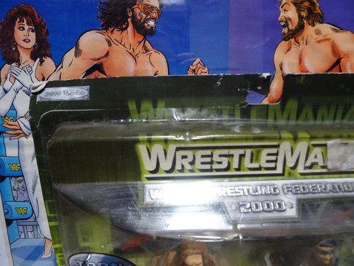 NEW WWF Titan Tron Live Jakks Pacific X Pac & HHH Wrestling Action Figure WWE DX - Picture 3 of 8