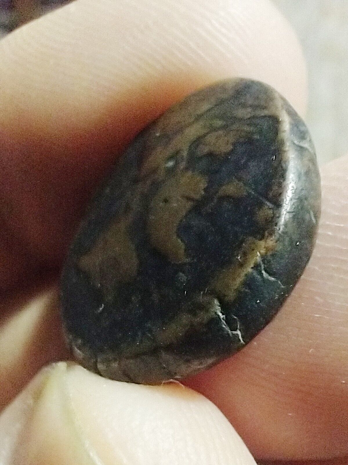 Picture 4 of 4