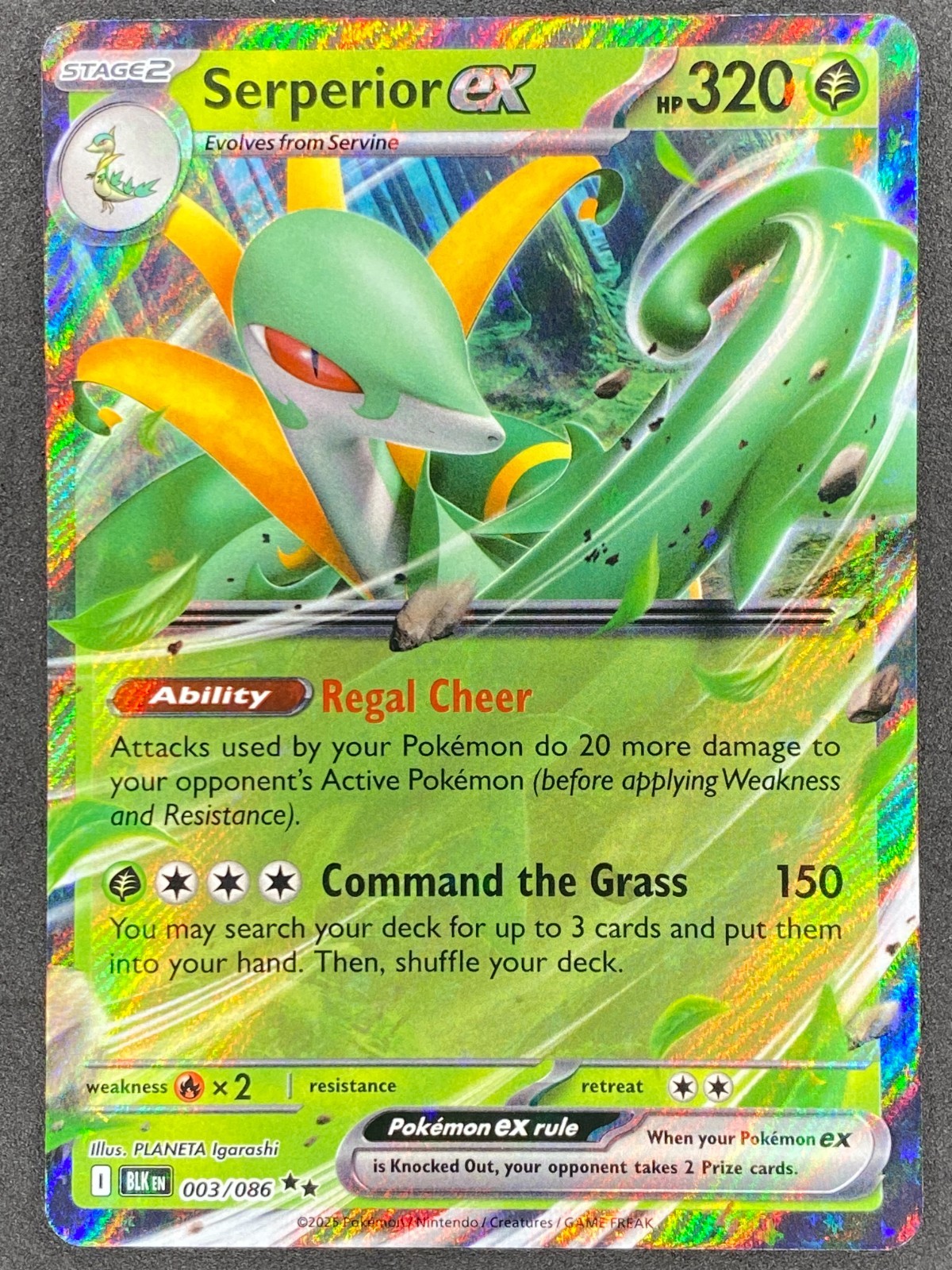 Pokémon Serperior ex 003/086 BLK Black Bolt NM