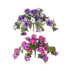Bild 2 von 24