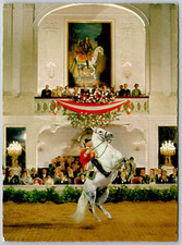 Postcard Spanish Court Riding School Mounted Capriole Vienna Austria UNP 4x6