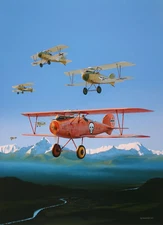 Aviation Art Post card Albatros D.III ace Hauptmann Godwin von Brumowski