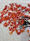 Foto 6 di 12