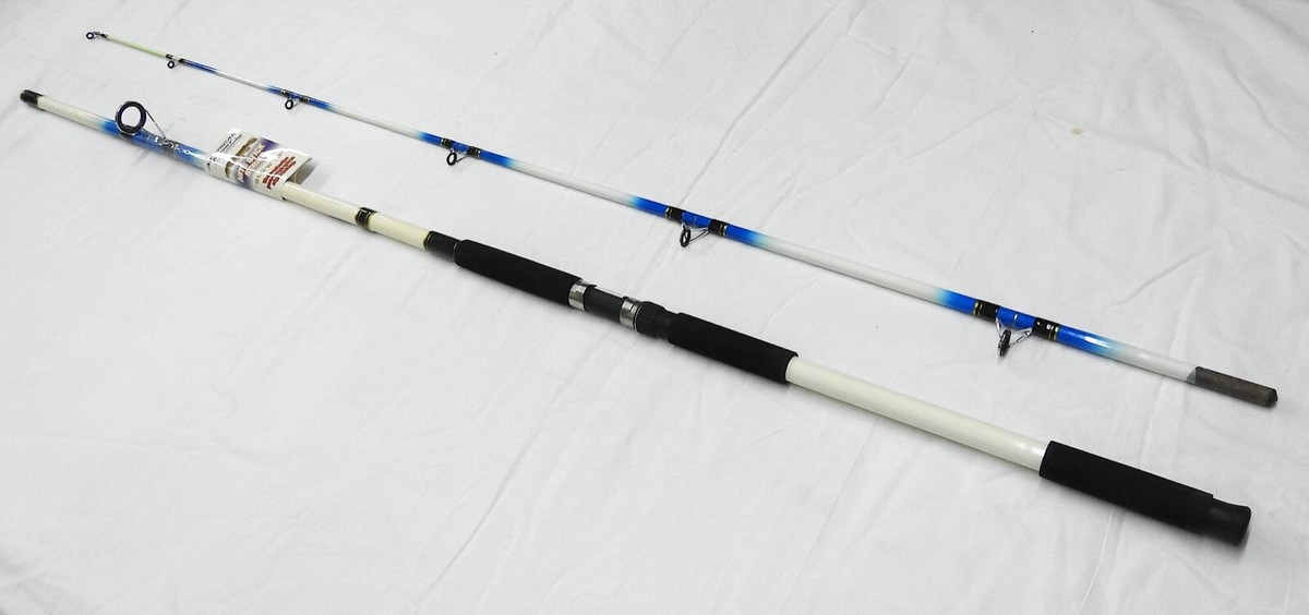 Classic Nite Stick Catfish Spinning Rod 12' 2PC Glow Tip Blue | eBay