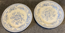 2 X Antique Asiatic Pheasants 240mm plates