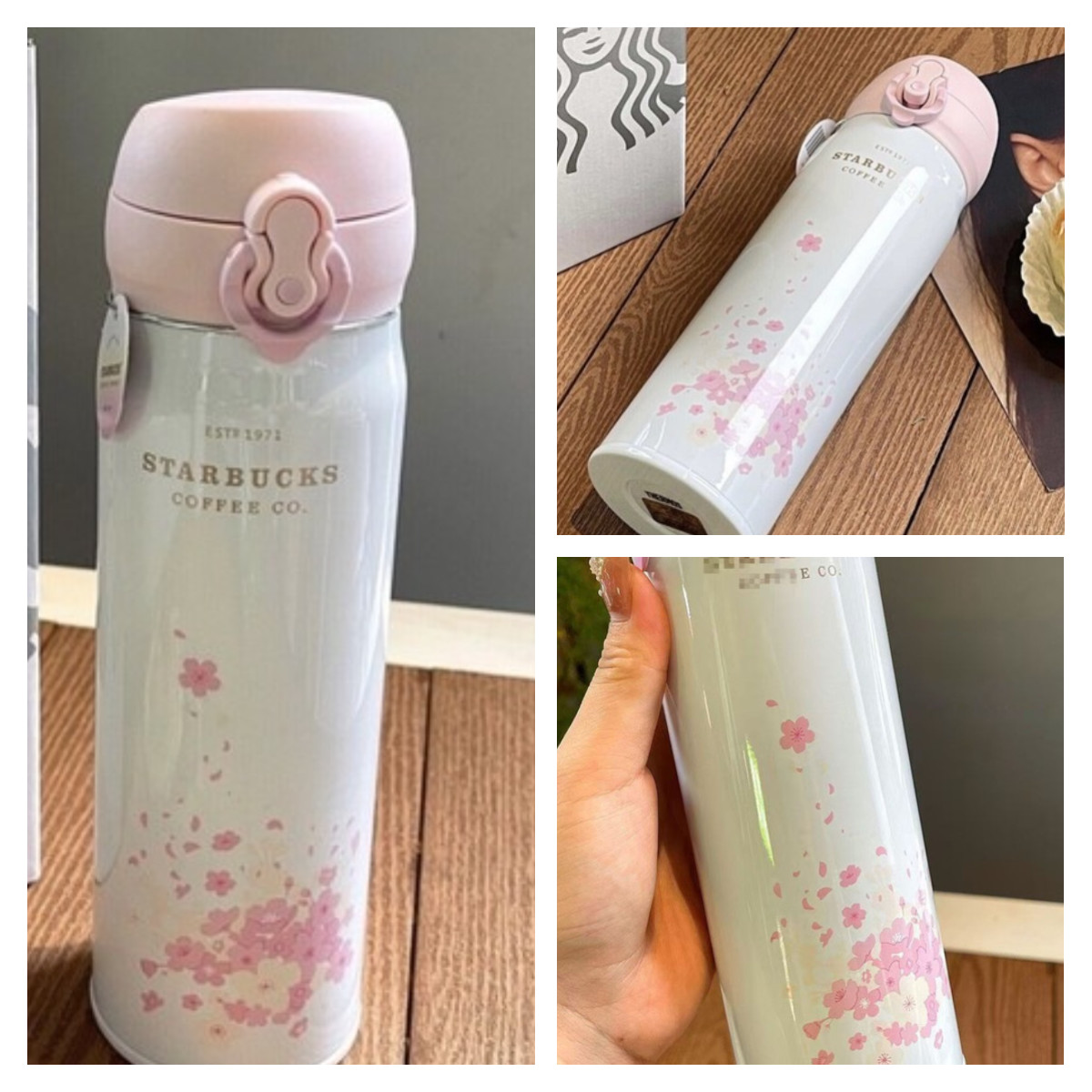 Starbucks 17oz Stainless Steel Insulated Cup - Leak-Proof Falling Cherry Pink