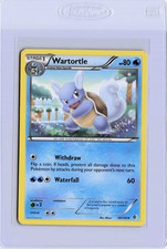 Wartortle #30 Pokemon Boundaries Crossed 2