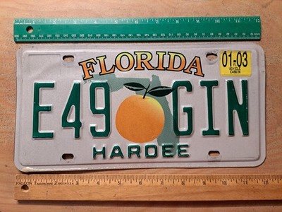 License Plate, Florida, 2003, Passenger, Hardee County, E49 orange GIN
