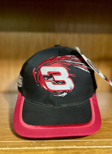 Vintage 2000 Chase Authentics Dale Earnhardt Brickyard 400 Swirl Strapback Hat