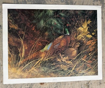 Vintage ART painting Jamie Carter print ''Regal Pair'' Large 34x42''