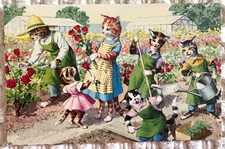 Alfred Mainzer Cat Postcard Cats Gardening in Rose Garden #4927