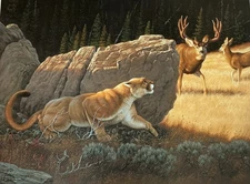 CAUSE FOR ALARM - Print By Wildlife Artist Tom Mansanarez - Signed & Numbered