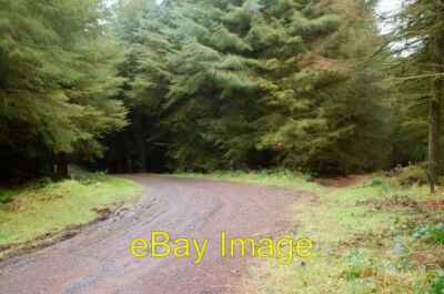 Foto 6x4 Tardree Wald (5) Scolboa siehe [[662062]].  Just past the stack c2008