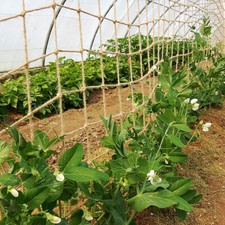 Jute Climbing Plant Support Netting Clematis Pea Bean 50mm Garden Compostable
