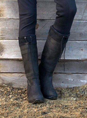 Toggi Canyon Boots | eBay