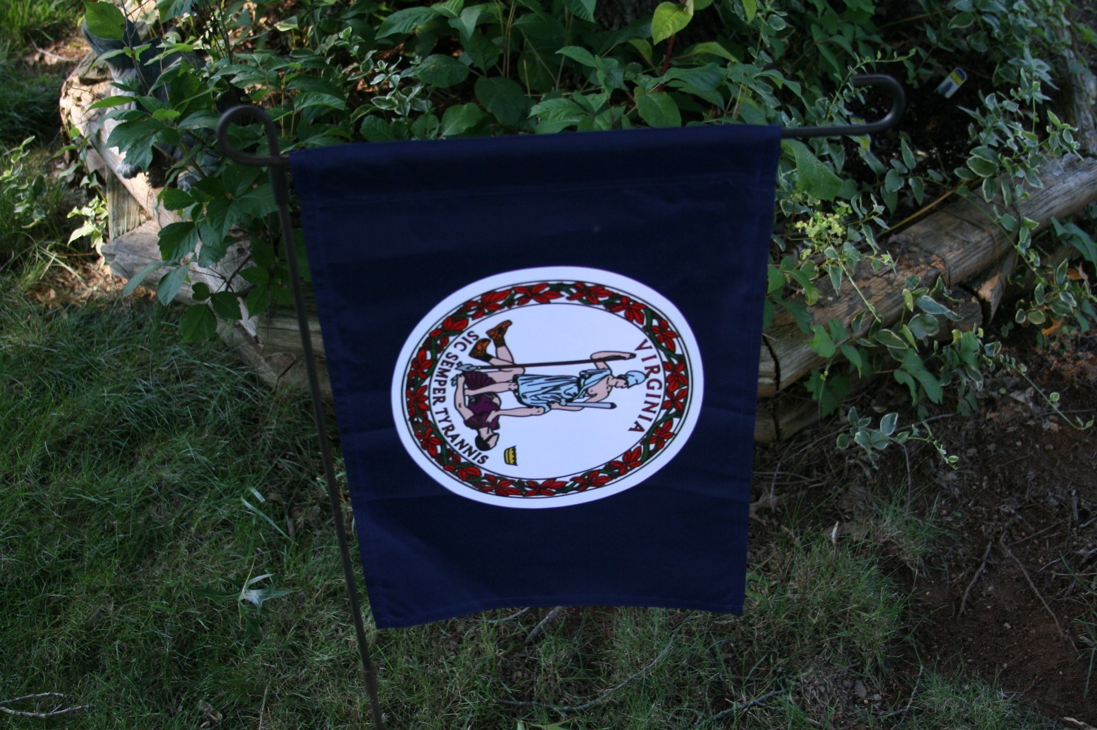 Picture 4 of 8