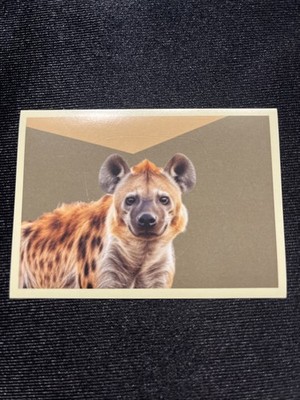 Noi Animali L unione Fa La Forza! Panini Excellent Figure No.43