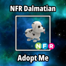 ADOPT FROM ME TODAY  NFR Dalmatian