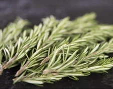 25 pcs Organic Rosemary Sprigs - Cut To Order