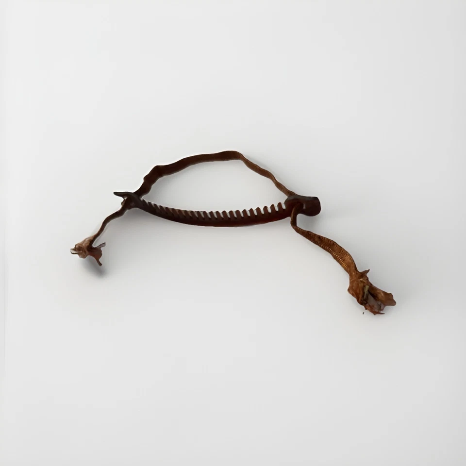 Rizadores de pelo antiguos años 20 clip bareta aleta dedo onda stock muerto tarjeta abalorio Foto 2 de 4