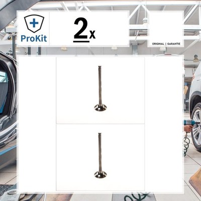 2x ORIGINAL  Paradowscy PPEU010 Auslassventil