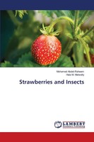 Mohamed Abdel-Raheem (U. A.) | Strawberries And Insects | Taschenbuch | Englisch