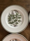 Tiffany & Co Herbs Salad Plates Set of 4 Johnson Brothers England Ceramic — photo 3