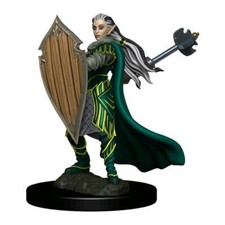 Dungeons  Dragons Premium Elf Paladin Fantasy Female Miniature Toy Figure New