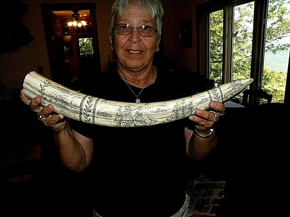 Reproducción de colmillo de morsa Scrimshaw Capitán Americano John Paul Jones 22 pulgadas Foto 3 de 4