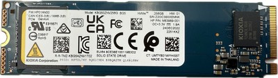 KIOXIA BG5 256GB M.2 NVMe SSD PCIe 4.0 x4 2280 PC Laptop Notebook Festplatte