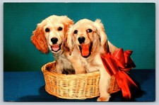 Cocker Spaniel Blond Postcard Red Ribbon Royalty Dog Puppy Canine In Basket