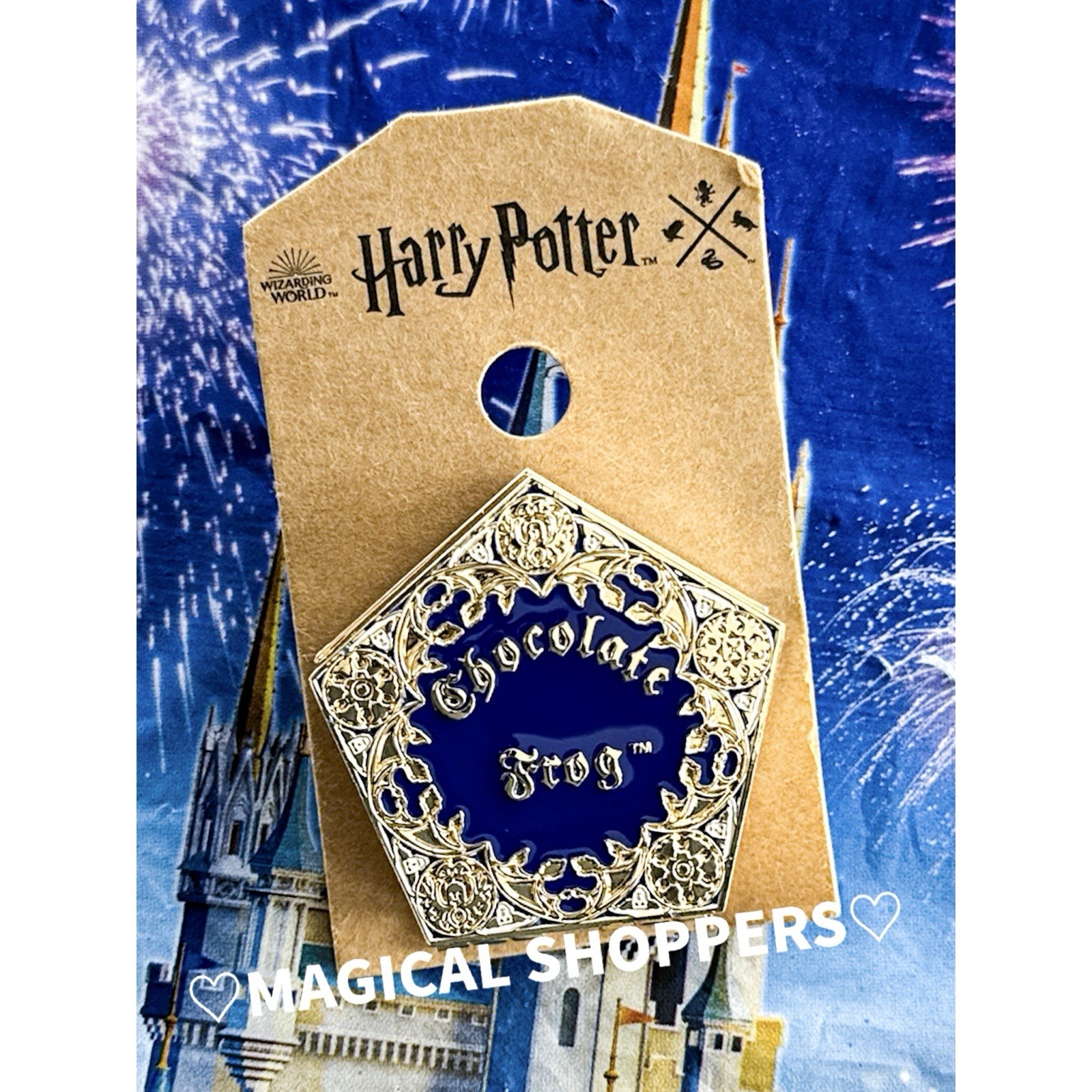 2025 Harry Potter Chicago Exclusive Chocolate Frog Limited Edition Pin