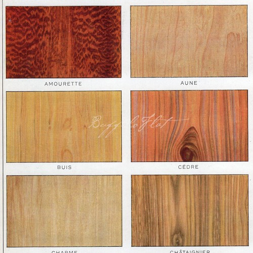 Type of Woods Lumber Sycomore Walnut Thuja Rosewood Linden Larousse - Picture 3 of 5