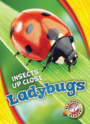 Ladybugs (Insects Up Close: Blastoff! Readers Level 1)