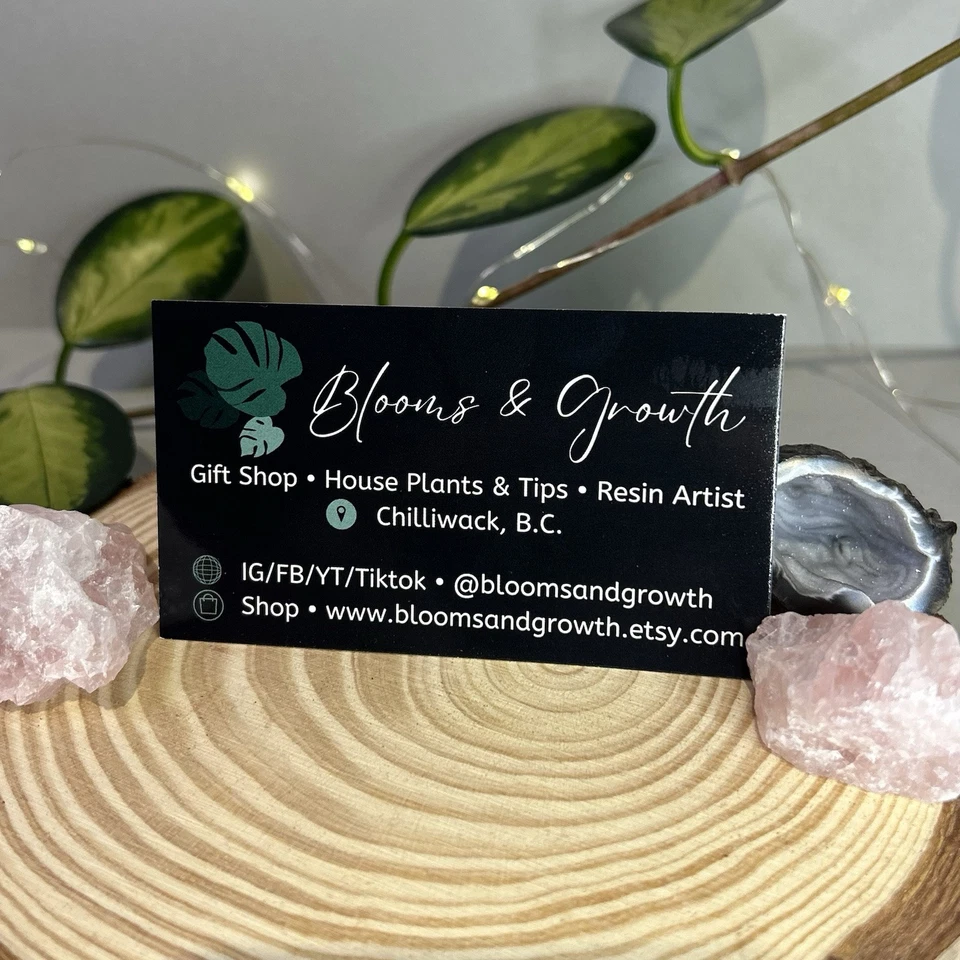 COPO DE VIDRO VEGETAL • ENGRAÇADO Hoeing Ain’t Easy House Plants tampa de cerveja NOVO 16 OZ - Imagem 4 de 4