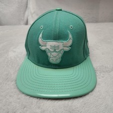 Chicago Bulls New Era Hat Cap Snap Back Men One Size Green NBA 9FIFTY Basketball