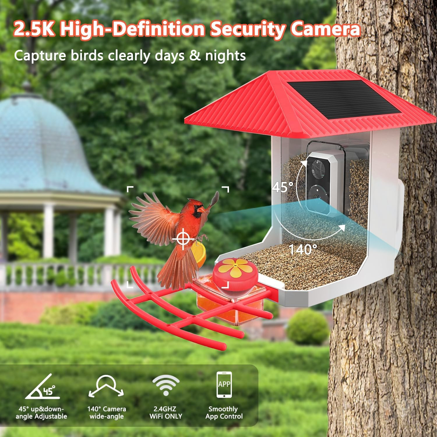 2.5K Smart Bird Feeder with Camera, 5Ghz &2.4Ghz Birds Watching Camera with AI I