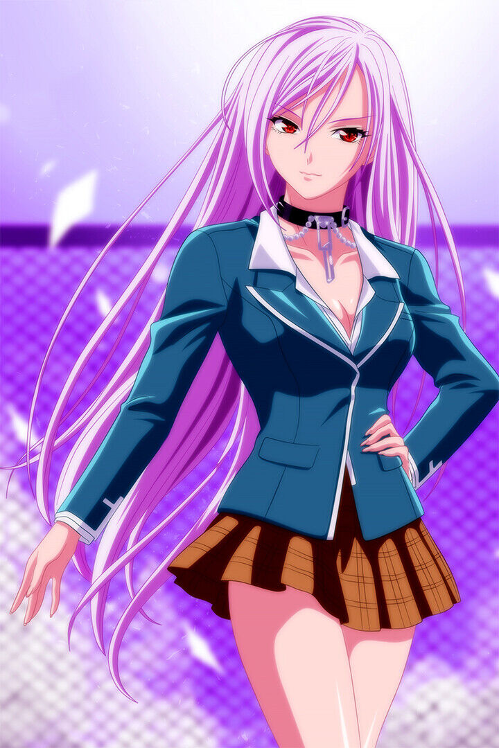 Anime Rosario + Vampire Wallpaper (22) Canvas Poster Wall Art Decor Print  Picture Paintings for Living Room Bedroom Decoration Unframe:  24x36inch(60x90cm) : : Home & Kitchen