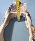 Picture 12 of 20