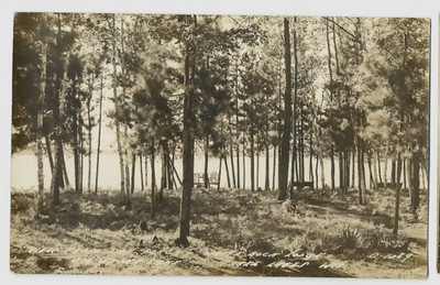 RPPC View From the Porch White Buck Lodge Three Lakes Wis Wisconsin Big Stone