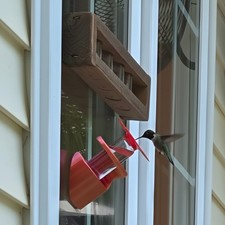 Reclaimed Poly Window Hummingbird Feeder   Available in Multiple Colors