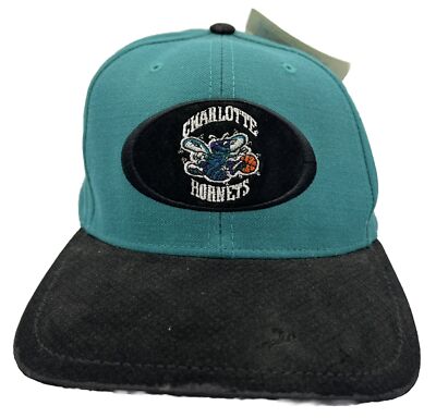 Charlotte Hornets twins enterprise