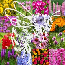 Birds, Bees, Butterflies, Pollinators Bulk Wildflower Seed Mix