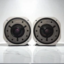 Yamaha JA-0801 Speaker PAIR Beryllium Midrange Driver NS-1000M Used japan