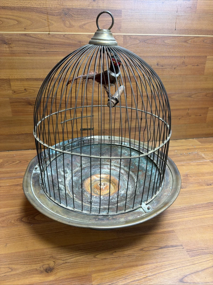 黄铜鸟笼| eBay