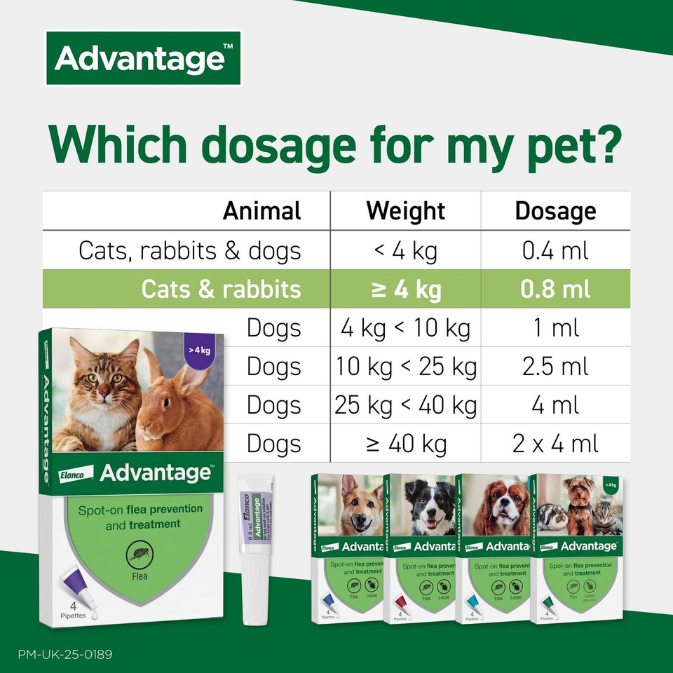 Gallery Detail: Spot On Flea Treatment For Large Cats And Rabbits Over