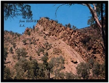 Postcard RPPC - Greetings from Hawker, South Australia, S.A.