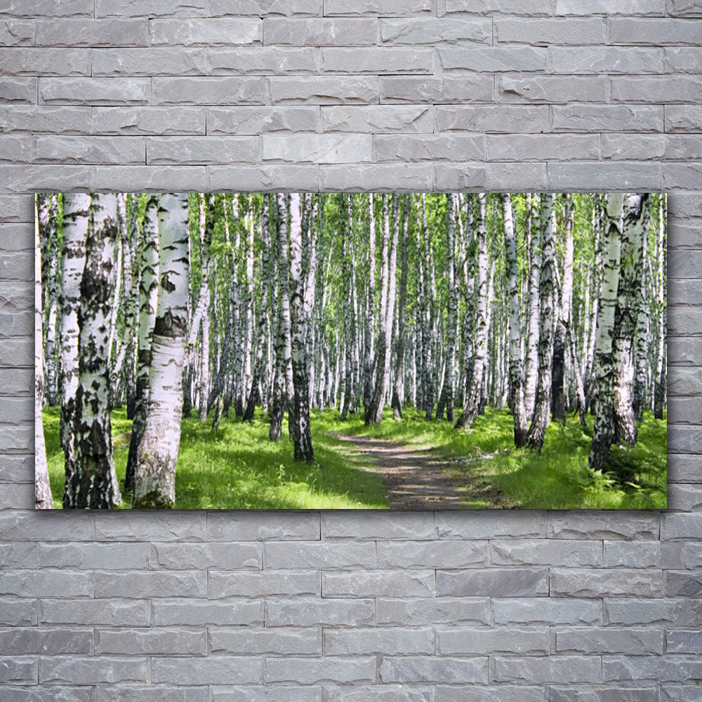 Tableau sur verre acrylique Forêt déco murale paysage 120x60