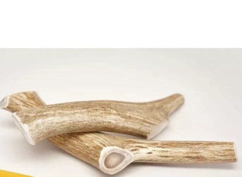 Antler Dog Chews - ONE (1) Large DEER Antler for Dog Chew Antler Bone TOP SELLER - Picture 10 of 12