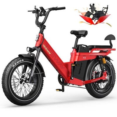 TESWAY X5-PRO 2000W 52V 60Ah 20'' E-Mountainbike Cargo Elektrofahrrad NFC 320KM